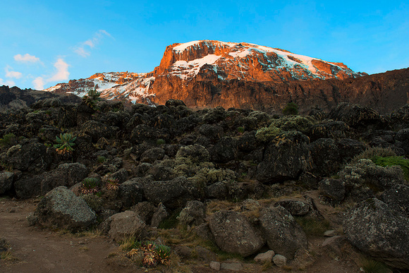 Alpenglow from Barranco Camp