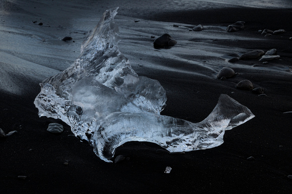 Ice Sculpture by Karin Heil