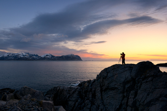 Freedom Lofoten Islands Norway